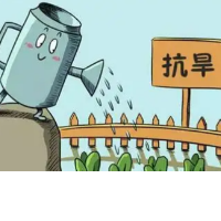 国网洪江市供电公司：暖心服务及时“雨”，抗旱保电“润“民心