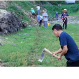 新晃鱼市镇：干群齐心聚合力 保障供水润民心