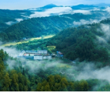通道：林长制后的新变迁