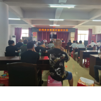 洪江市：沙湾乡召开乡村振兴誓师大会