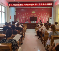 洪江市岔头乡召开专题会议 传达贯彻中共洪江市委六届三次全体会议精神