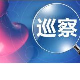 怀化市委第九巡察组提级巡察鹤城区河西街道新园社区党支部