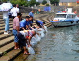 洪江市检察院：增殖放流护一江碧水