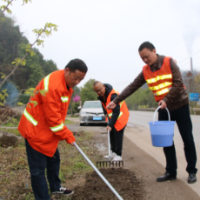 辰溪：打造“花海公路”