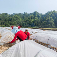 沅陵大合坪乡：激活一池好春水 迎来发展好势头