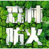 洪江市岔头乡：森林防火宣传“进村入户” 拧紧防火安全“弦”