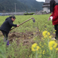 通道：清明后 耕种忙