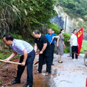 图片新闻 | 通道：助农服务暖民心