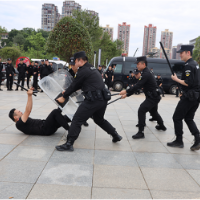 高温下，沅陵特警实战练兵正酣