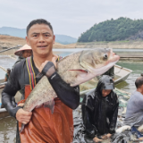 怀化沅陵：夏捕起鱼 供应端午节市场