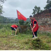 洪江市大崇乡：“庭庭”玉落，不蔓不枝