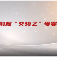 视频 | 消除“艾梅乙”母婴传播 安全守护每个小生命