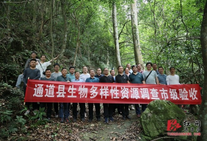 通道县生物多样性资源本底调查通过市级验收