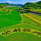 握紧“接力棒 ”  答好“振兴卷”——沅陵县委组织部、县工商银行驻大合坪乡茶溪村工作队乡村振兴走笔