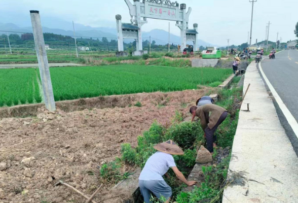 麻阳文昌阁乡：整修渠道  勠力齐心保水稻丰收