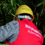 那一刻 你闪着光① | 雪峰山深处，他们守护万家灯火