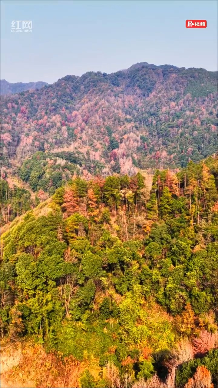 芷铜高速美如画 路景相融画中行