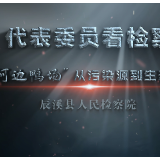 代表委员看检察丨从“污染源”到“生态田”