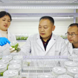 委员风采丨张智忠：重塑农科价值 扛鼎“稻都”复兴