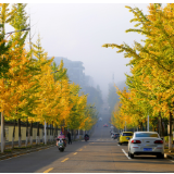 组图丨光影中方——五彩斑斓醉美中方