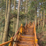 湖南中坡国家森林公园里的木栈游步道已修缮一新即将开放