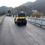 通道：修通产业致富路 激活乡村发展新动能