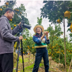 洪江市岩垅乡:政企联手改柑橘 老果园结出“致富果”