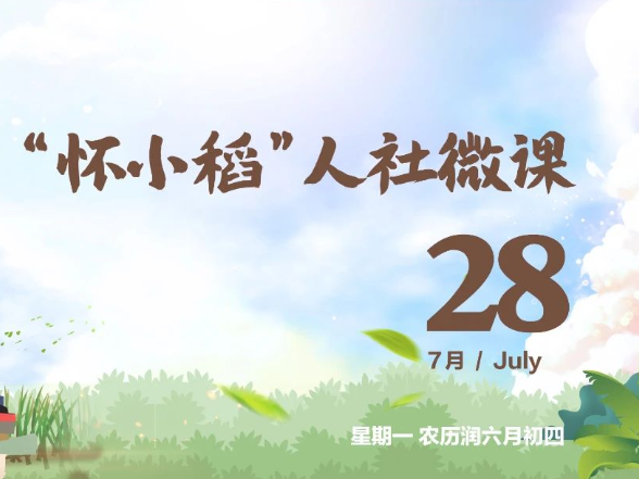 【怀小稻人社微课第582期】就业见习期限是多长？
