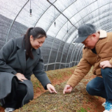 家门口的农创客——探访会同县四位农创客的乡村振兴之路