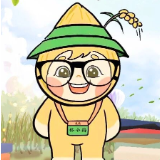 【怀小稻人社微课第712期】政策“加油站”活动将如何开展？