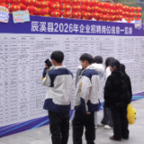 逛年展，谋新职！辰溪“春风行动”招聘会携5000+岗位亮相年货大街