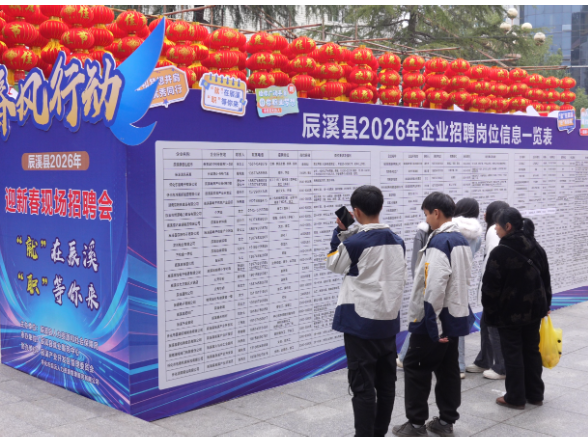 逛年展，谋新职！辰溪“春风行动”招聘会携5000+岗位亮相年货大街