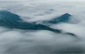 视频｜清江湖山秀 梅香满托口