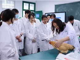 实操淬炼真本领 怀化职院动物科技学院开展综合实训教学