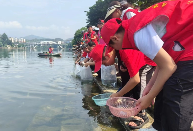 怀化开展舞水河放流活动 恢复当地土著鱼类资源