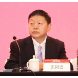 专访张阳德：各国急需发展纳米生物技术抗击几十纳米尺度病毒