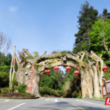 十八洞村：用“绣花”功夫 打造乡村精准规划模式