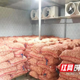 湖南发展精细农业：果蔬冷链下田间 农产品销售更畅通