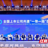 威胜信息出席2020全国上市公司共建“一带一路”国际合作论坛