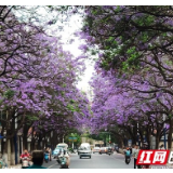 组图丨彩云之南一幅幅美图 手机屏保都“自叹不如”