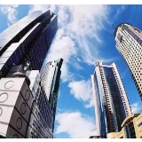 多国政党政要支持中国维护香港繁荣稳定