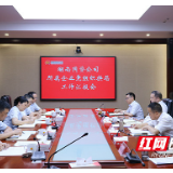 凝心聚力谋发展 湖南国资公司所属四户企业完成党组织换届