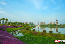 全国科普日来洋湖吧！一起开启野生动物探索之旅