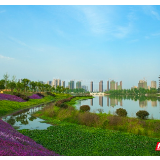 全国科普日来洋湖吧！一起开启野生动物探索之旅