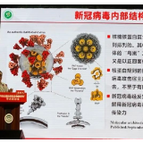 张伯礼、施一公、李兰娟等齐点赞！新冠病毒“完整结构图”到底有多牛？