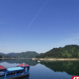 湖南石门:“放下斧头”22载,封山育林将“生态帐”扭亏为盈