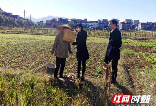 邵阳县法院：在田间地头释理说法 强制执行案件终和解