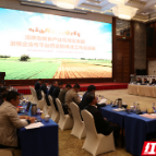 培育大粮企、名品牌 政银企携手打造湖南粮食产业高质量发展合作平台