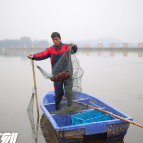 “在希望的田野上”媒体采风行丨乡村振兴的“石咀模式”