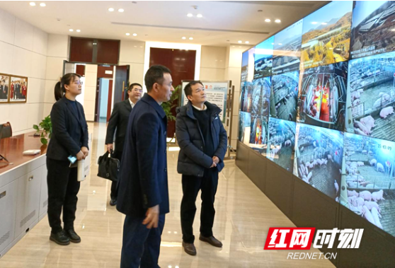 中国农业发展银行茶陵县支行发放贷款助力生猪“稳产保供”